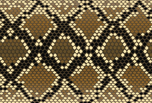Snake skin seamless pattern. Stock Vector by ©mazeina 111424090