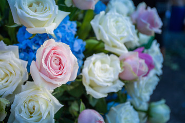 Fototapeta na wymiar roses flower decoration for wedding event