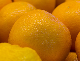 arge juicy oranges closeup