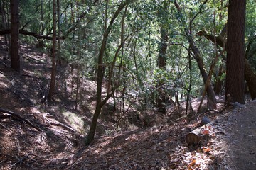 Austin Creek State Recreation Area - park encompassing an isolated wilderness area. Its includes ravines, grassy hillsides, oak-capped knolls, and rocky summits offering glimpses offering glimpses.