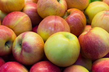 green and red apples closeup