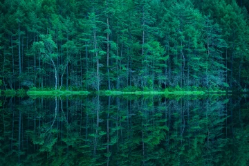 Fototapeten Wälder und Seen Mishakaike Pond © takahara
