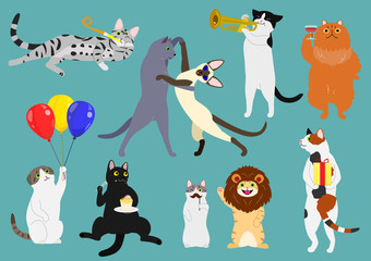 party cats set