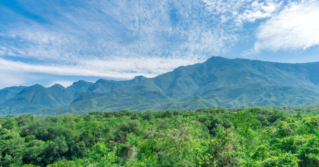 Paisaje Monte 
