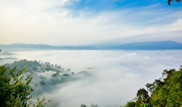 Fototapeta Forested mountain  mist and sky