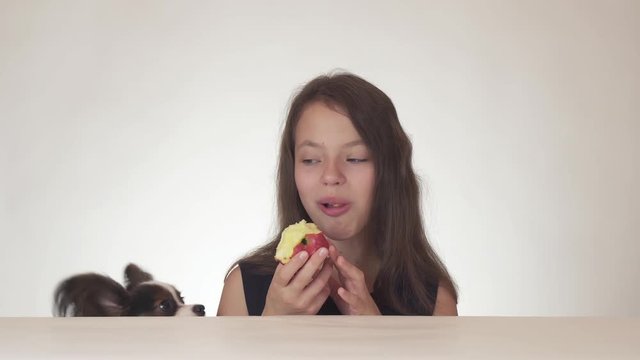 Beautiful teen girl and dog Continental Toy Spaniel Papillon eating tasty fresh red apple on white background stock footage video.