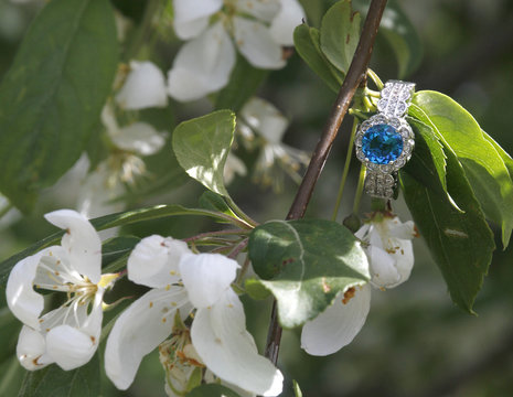 Blue diamond engagment ring nestled on blooming branch sparkling