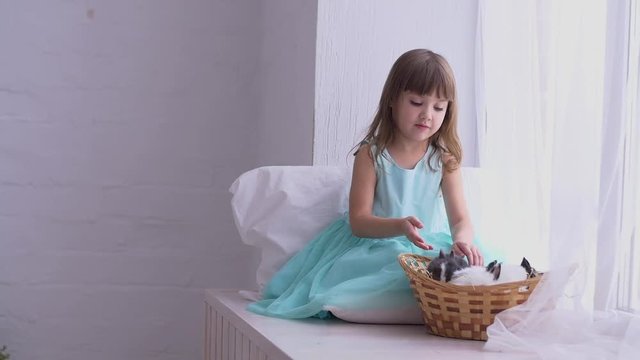 Pretty teen girl having fun, hugging and playing with decorative rabbit