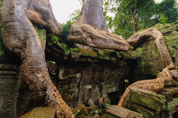 タ・プローム遺跡
