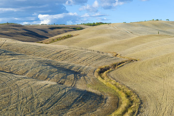 Fototapeta na wymiar September in the hilly fields of Tuscany. Italy