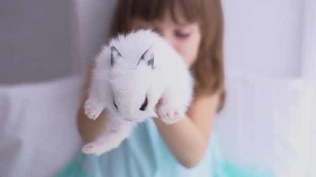 Pretty teen girl having fun, hugging and playing with decorative rabbit