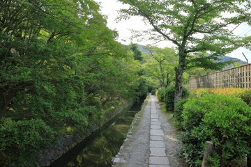 京都哲学の道