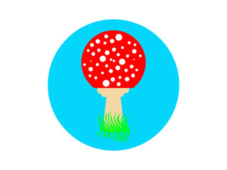 Fly agaric mushroom