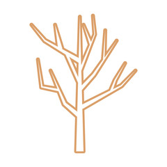dry tree icon over white background vector illustration