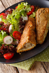 Fresh vegetable salad and fried fish hake close-up. vertical