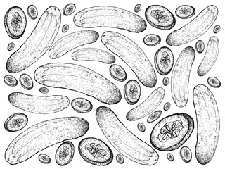 Hand Drawn of Fresh Green Cucumbers Background