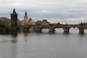 Charles bridge