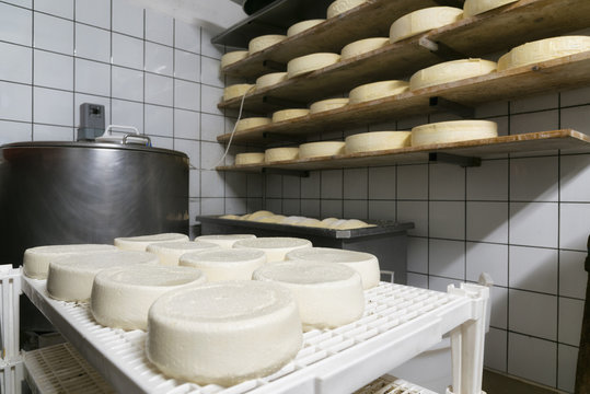 handmade italian cheese production in mountain farm