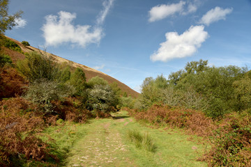 Path in Doone Valley, Exmoor, North Devon