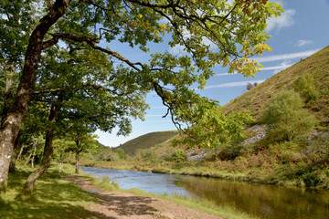 Fototapeta na wymiar Path in Doone Valley, Exmoor, North Devon