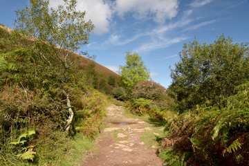 Fototapeta na wymiar Path in Doone Valley, Exmoor, North Devon