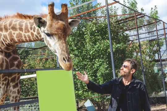 man with a beard wearing glasses is stroking the head of a giraffe in a zoo on a sunny afternoon