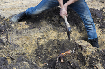 A man removes a stump in the garden, by rolling and sequential croaking,