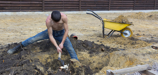 Obraz premium A man removes a stump in the garden, by rolling and sequential croaking,