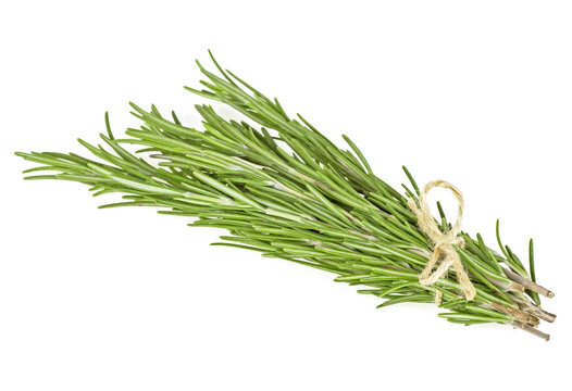 Tied fresh rosemary over white background, close up