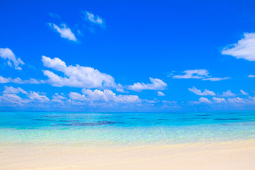 Obraz premium Tropical beach