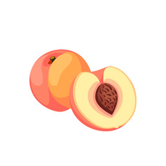 Fototapeta premium Summer fruits for healthy lifestyle. Ripe peach, whole fruit and half. Vector illustration cartoon flat icon isolated on white.