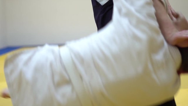 a lesson in Aikido
