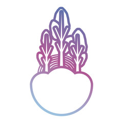 trees icon over white background vector illustration