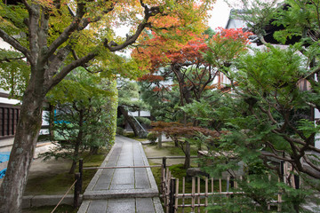 Japanese temple located in valley with colorful leaves in autumn