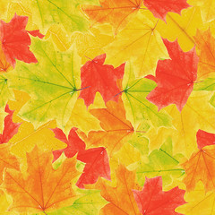 Naklejka na ściany i meble Maple leaves seamless pattern background