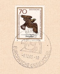 Berkut (Aquila chrysaetos)-bird of prey of the family accipitridae, is the largest eagle.Special postmark Berlin,European birds of prey.Postage stamp Germany 1965