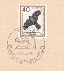 Northern Goshawk (Accipiter gentilis)-bird of prey of the family accipitridae.Special postmark Berlin,European birds of prey.Postage stamp Germany 1965