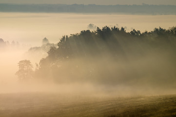 misty autumn morning over the valley