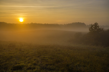 Fototapeta na wymiar misty autumn morning over the valley