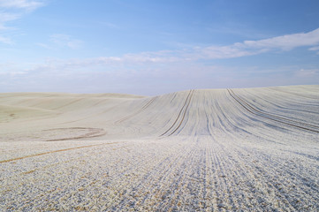 Winter panorama of fields, blue sky, frosted field