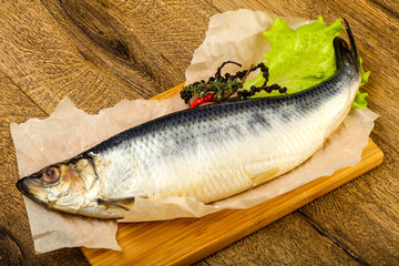 Herring fish