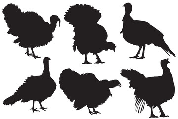 turkey poultry silhouette set