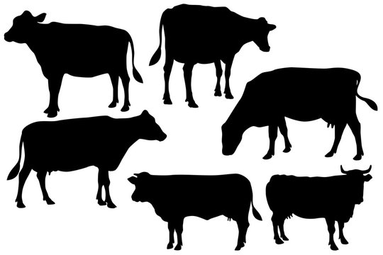 cow farm silhouette set