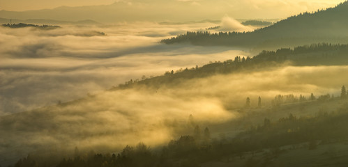 valley of the mountain flooded with mists in the morning.Morning show of fog in the mountains