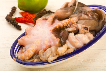 Raw octopus