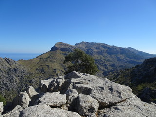 Lovely nature on the way to Sa Calobra, Mallorca