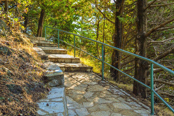 Stone staircase in a pine forest. Sunlight falls on the stone steps