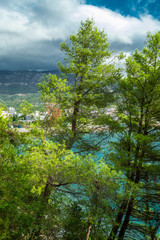 Fototapeta na wymiar View of the sea from the mountain, where pine trees grow. Montenegro. The Budva Riviera. Becici