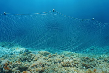 Fishing net underwater a gillnet fixed on a rocky seabed in the Mediterranean sea, Cap de Creus, Cadaques, Catalonia, Costa Brava, Spain