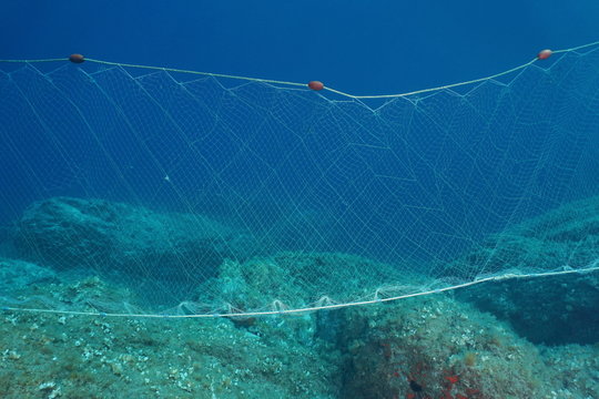 A fishing net (gillnet) underwater fixed on the seabed in the Mediterranean sea, Costa Brava, Spain